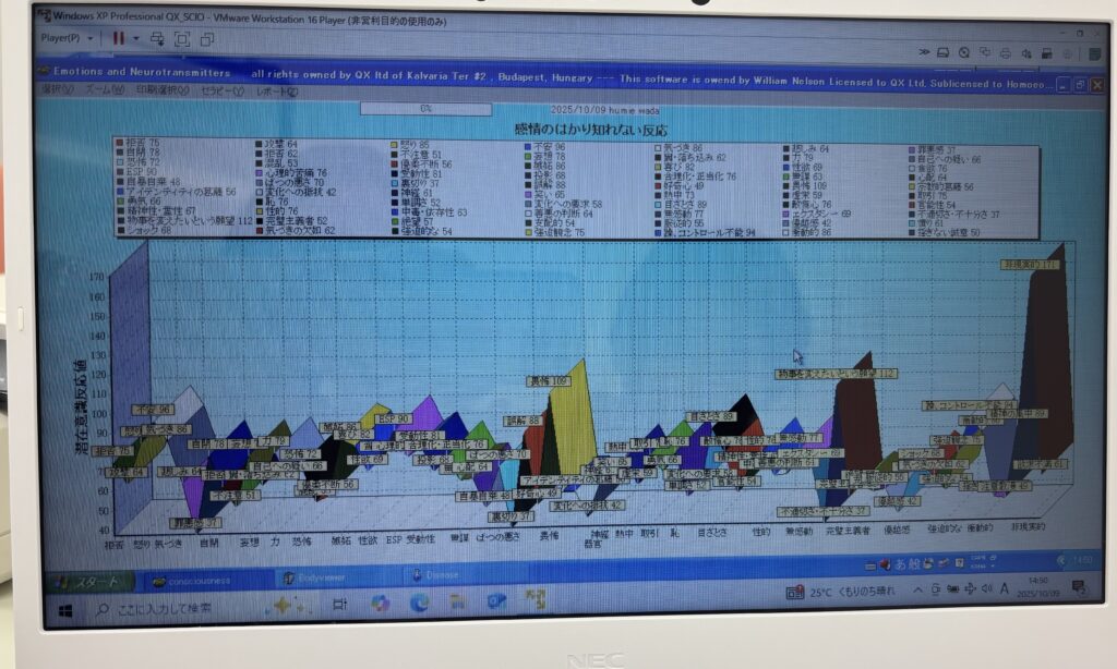 見にくくてごめんなさい