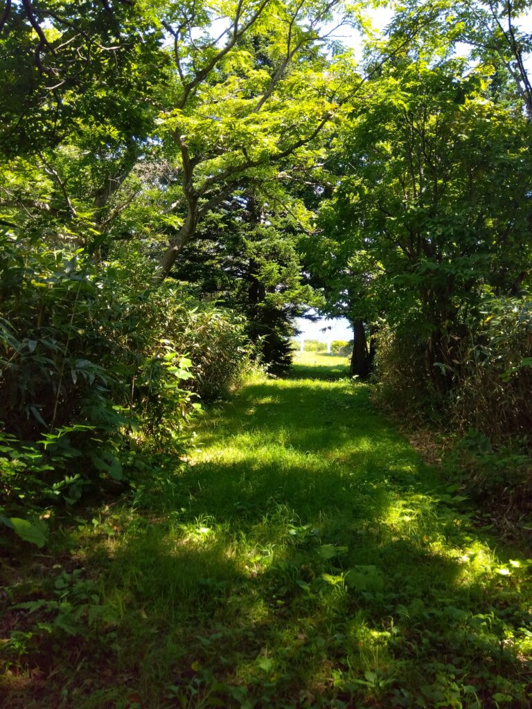 縄文意識覚醒プロデューサー『まーくん』のプロフィール