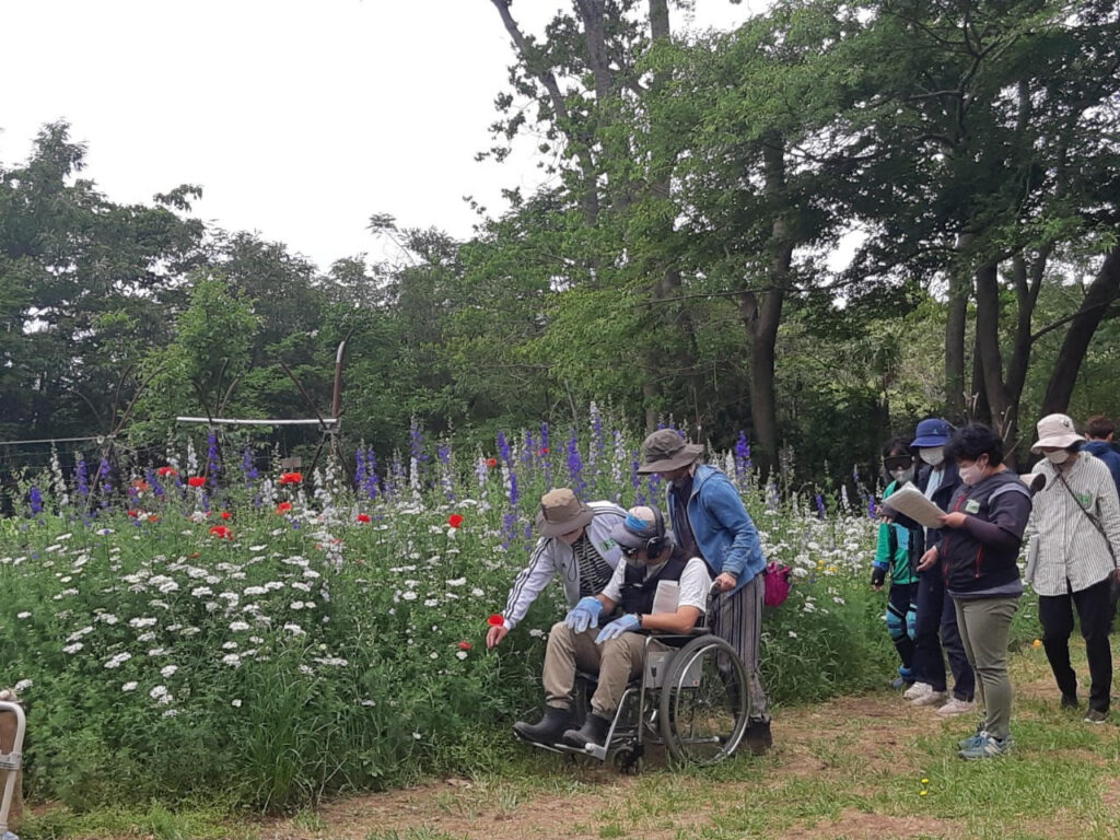 園芸療法との出会い